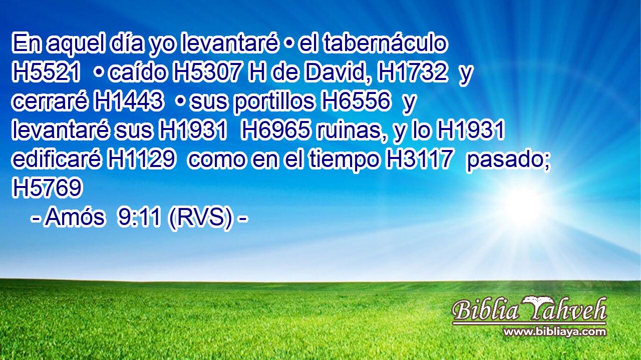 En aquel día yo levantaré • el tabernáculo H5521  • caído H5307 H de David, H1732  y cerraré H1443  • sus portillos H6556  y levantaré sus H1931  H6965 ruinas, y lo H1931  edificaré H1129  como en el tiempo H3117  pasado; H5769  