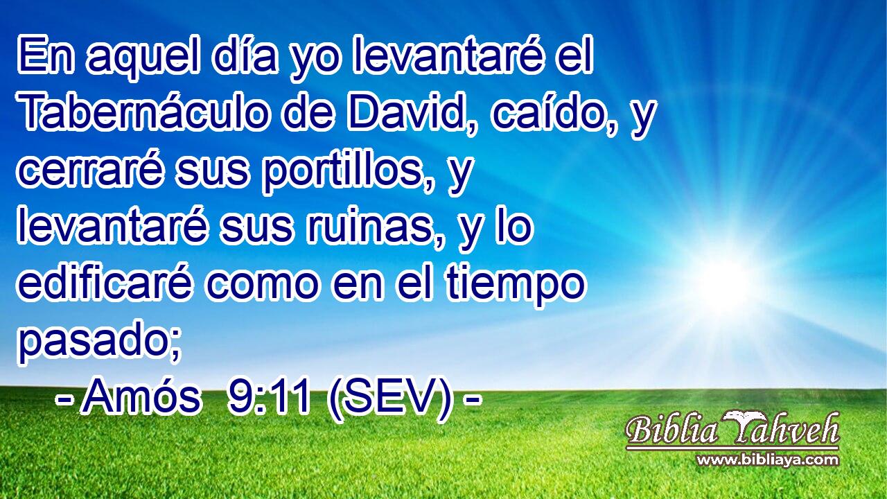 En aquel día yo levantaré el Tabernáculo de David, caído, y cerraré sus portillos, y levantaré sus ruinas, y lo edificaré como en el tiempo pasado;