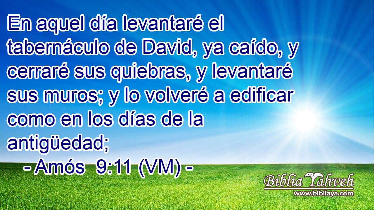  En aquel día levantaré el tabernáculo de David, ya caído, y cerraré sus quiebras, y levantaré sus muros; y lo volveré a edificar como en los días de la antigüedad; 