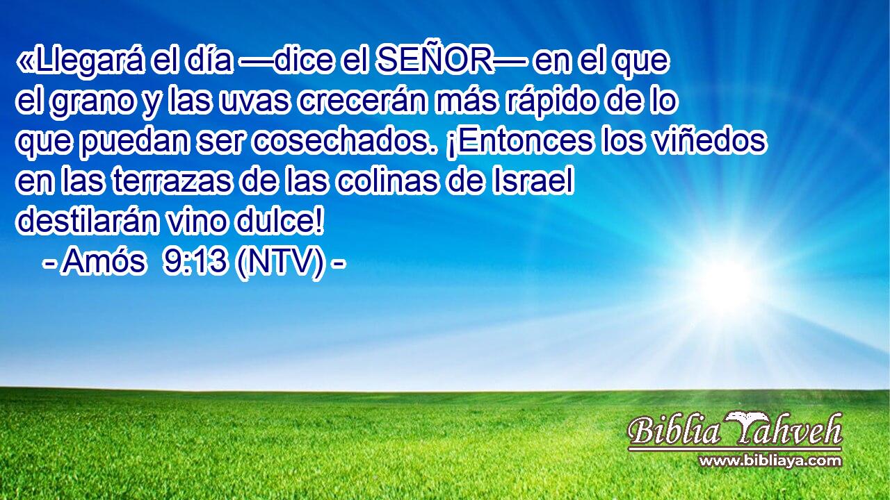 «Llegará el día —dice el SEÑOR— en el que el grano y las uvas crecerán más rápido de lo que puedan ser cosechados. ¡Entonces los viñedos en las terrazas de las colinas de Israel destilarán vino dulce!