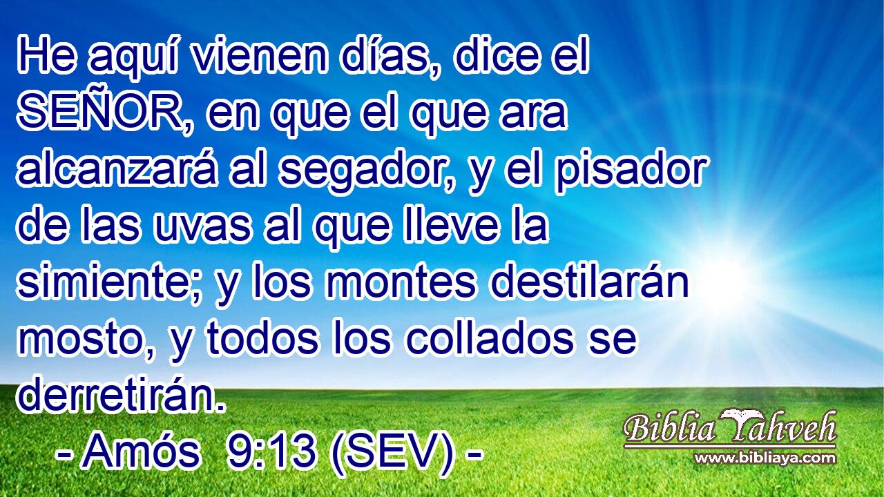 He aquí vienen días, dice el SEÑOR, en que el que ara alcanzará al segador, y el pisador de las uvas al que lleve la simiente; y los montes destilarán mosto, y todos los collados se derretirán.