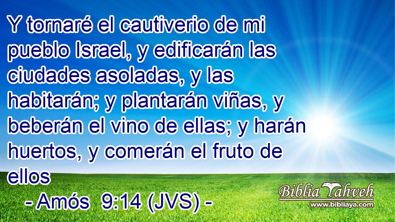 Y tornaré el cautiverio de mi pueblo Israel, y edificarán las ciudades asoladas, y las habitarán; y plantarán viñas, y beberán el vino de ellas; y harán huertos, y comerán el fruto de ellos