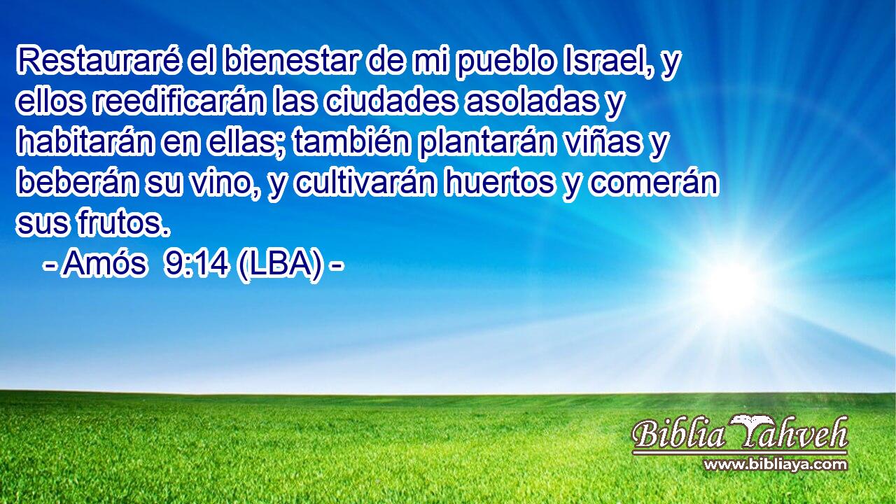Restauraré el bienestar de mi pueblo Israel, y ellos reedificarán las ciudades asoladas y habitarán en ellas; también plantarán viñas y beberán su vino, y cultivarán huertos y comerán sus frutos.