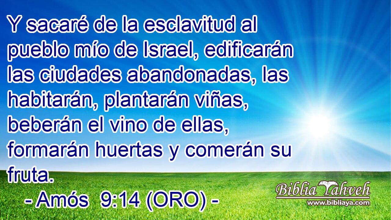  Y sacaré de la esclavitud al pueblo mío de Israel, edificarán las ciudades abandonadas, las habitarán, plantarán viñas, beberán el vino de ellas, formarán huertas y comerán su fruta. 