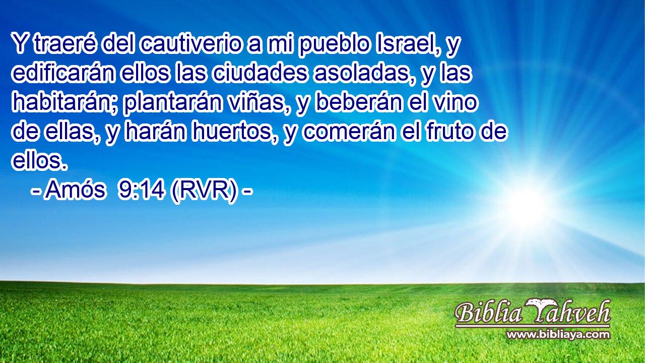 Y traeré del cautiverio a mi pueblo Israel, y edificarán ellos las ciudades asoladas, y las habitarán; plantarán viñas, y beberán el vino de ellas, y harán huertos, y comerán el fruto de ellos.