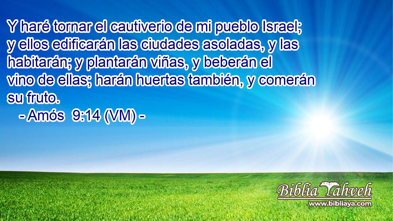  Y haré tornar el cautiverio de mi pueblo Israel; y ellos edificarán las ciudades asoladas, y las habitarán; y plantarán viñas, y beberán el vino de ellas; harán huertas también, y comerán su fruto. 