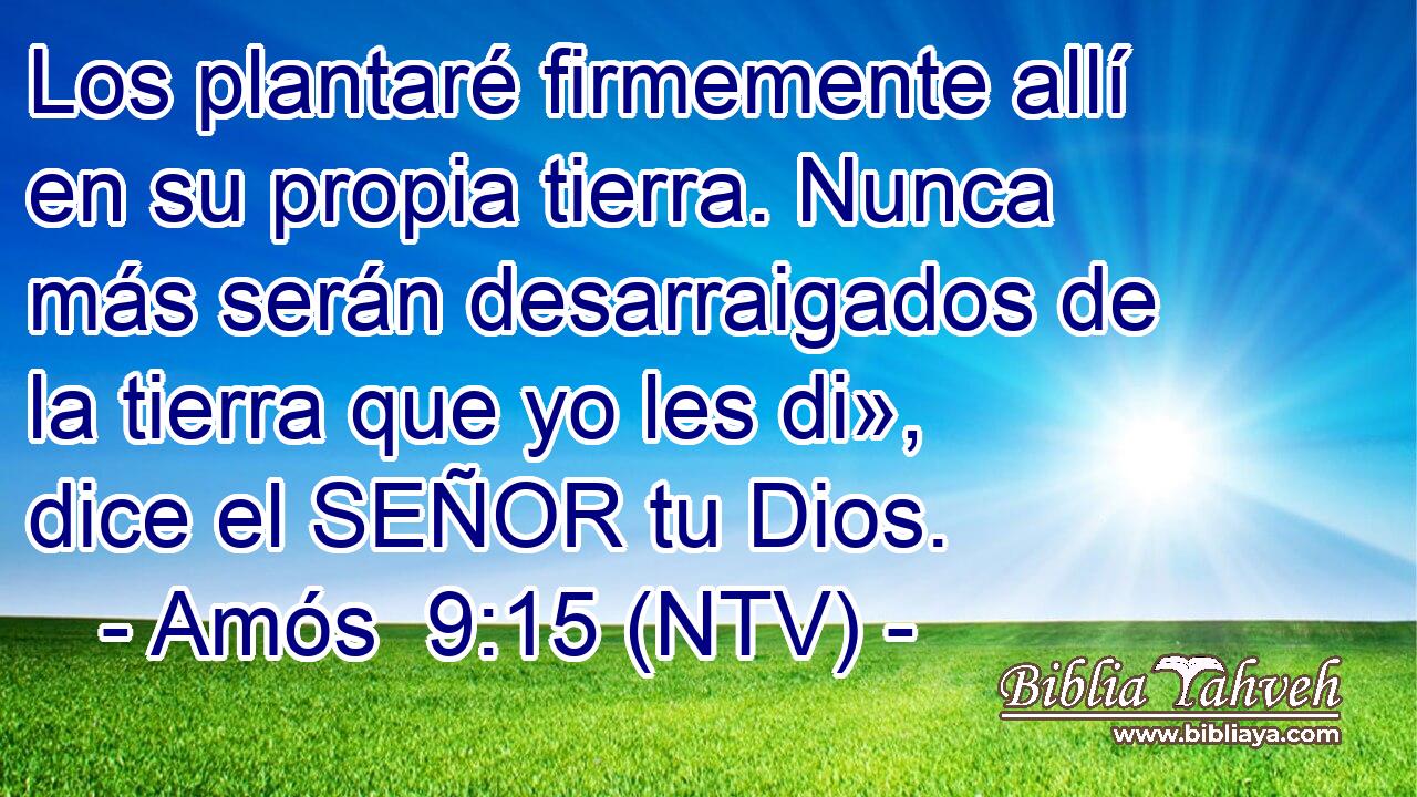 Los plantaré firmemente allí en su propia tierra. Nunca más serán desarraigados de la tierra que yo les di», dice el SEÑOR tu Dios.