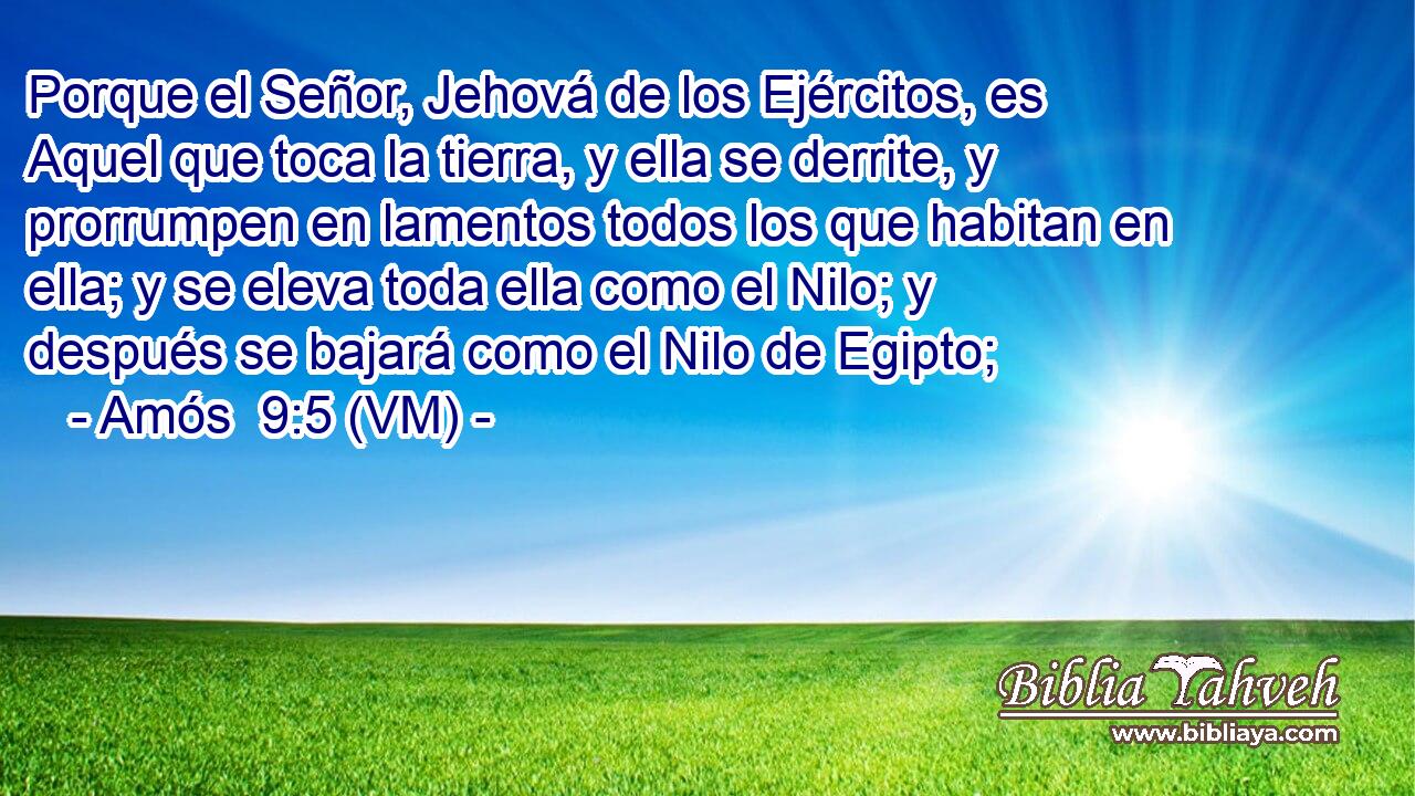  Porque el Señor, Jehová de los Ejércitos, es Aquel que toca la tierra, y ella se derrite, y prorrumpen en lamentos todos los que habitan en ella; y se eleva toda ella como el Nilo; y después se bajará como el Nilo de Egipto; 