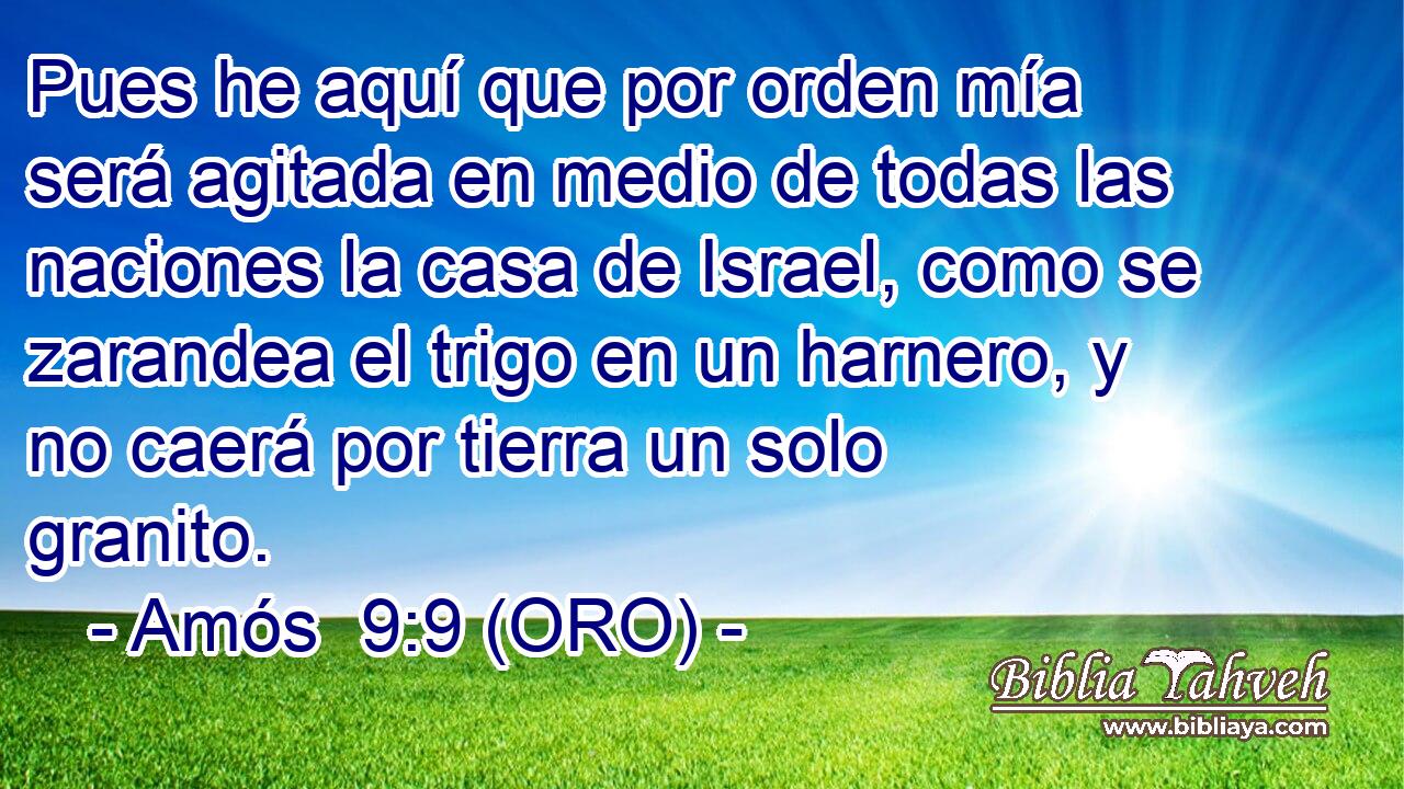  Pues he aquí que por orden mía será agitada en medio de todas las naciones la casa de Israel, como se zarandea el trigo en un harnero, y no caerá por tierra un solo granito. 