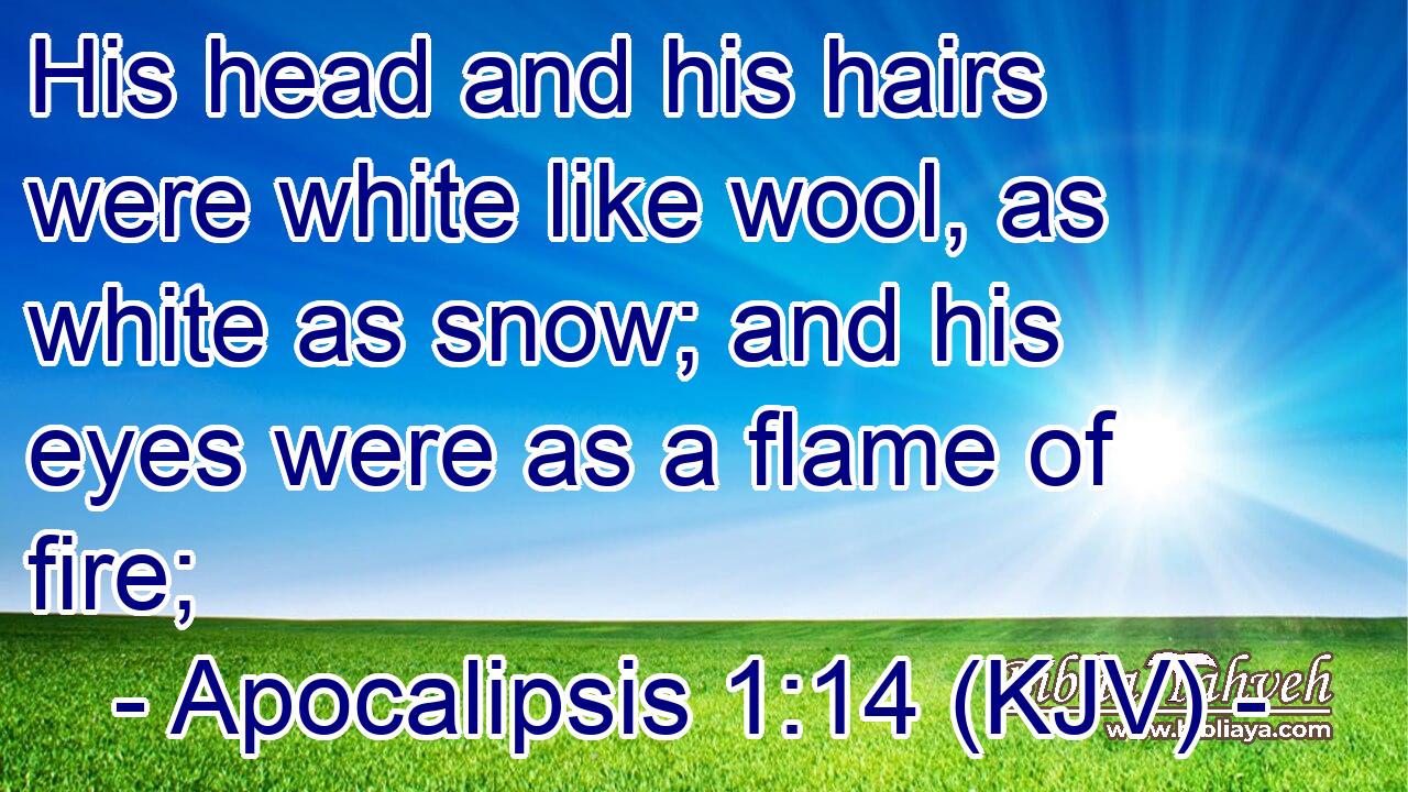 His head and his hairs were white like wool, as white as snow; and his eyes were as a flame of fire;