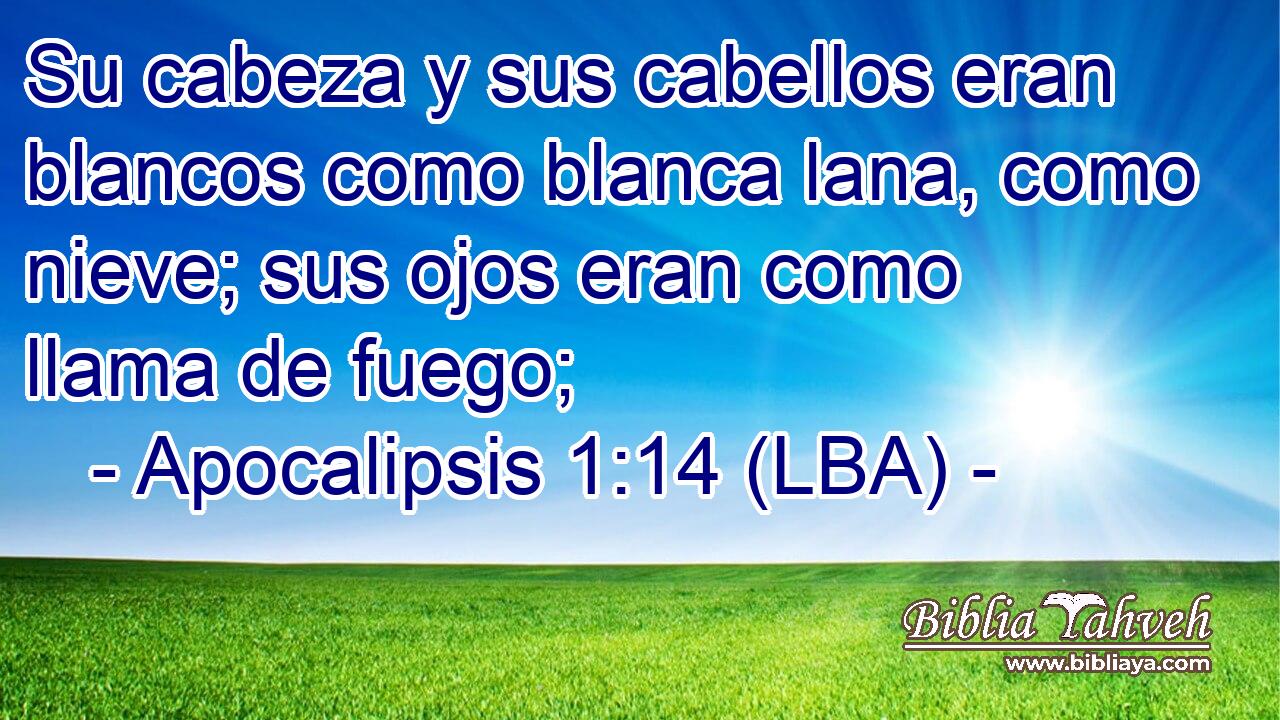 Su cabeza y sus cabellos eran blancos como blanca lana, como nieve; sus ojos eran como llama de fuego;