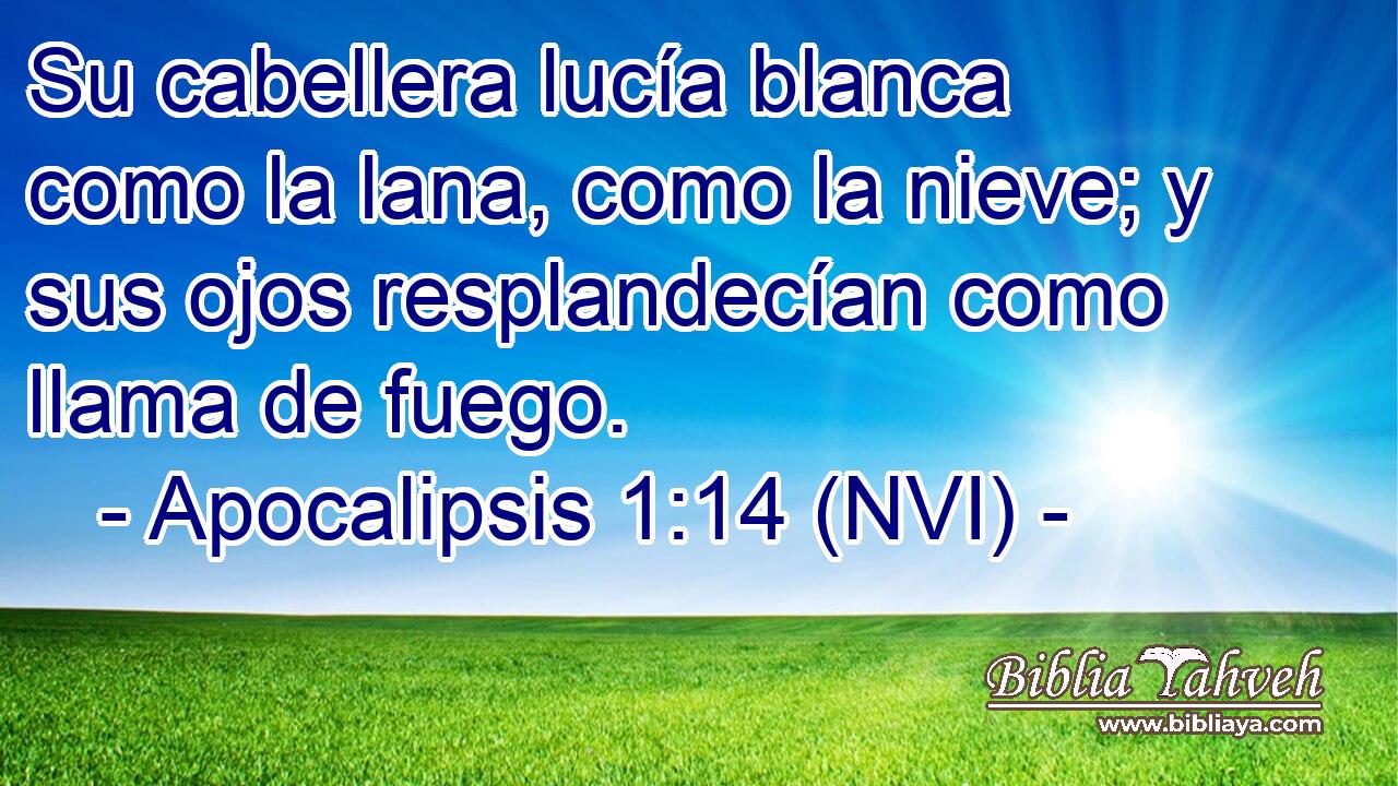  Su cabellera lucía blanca como la lana, como la nieve; y sus ojos resplandecían como llama de fuego. 