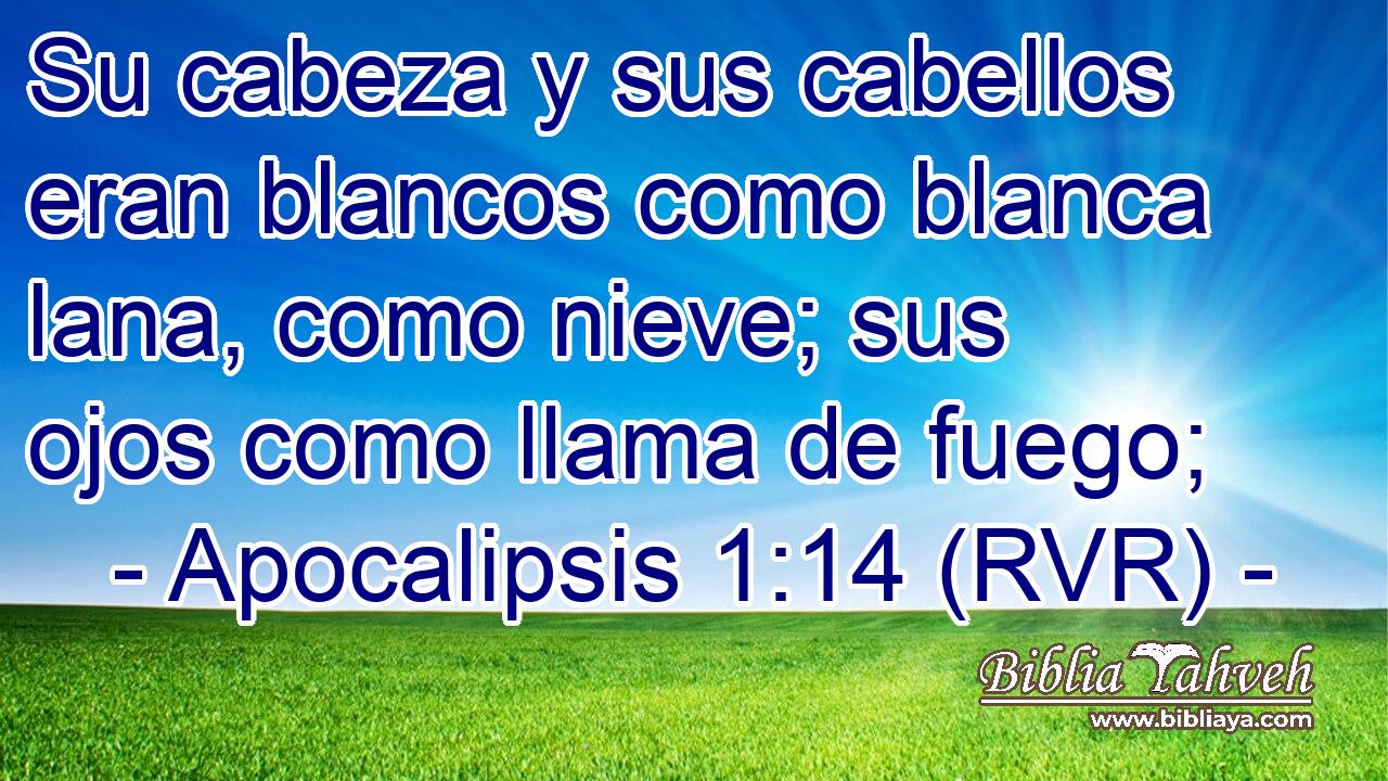 Su cabeza y sus cabellos eran blancos como blanca lana, como nieve; sus ojos como llama de fuego;