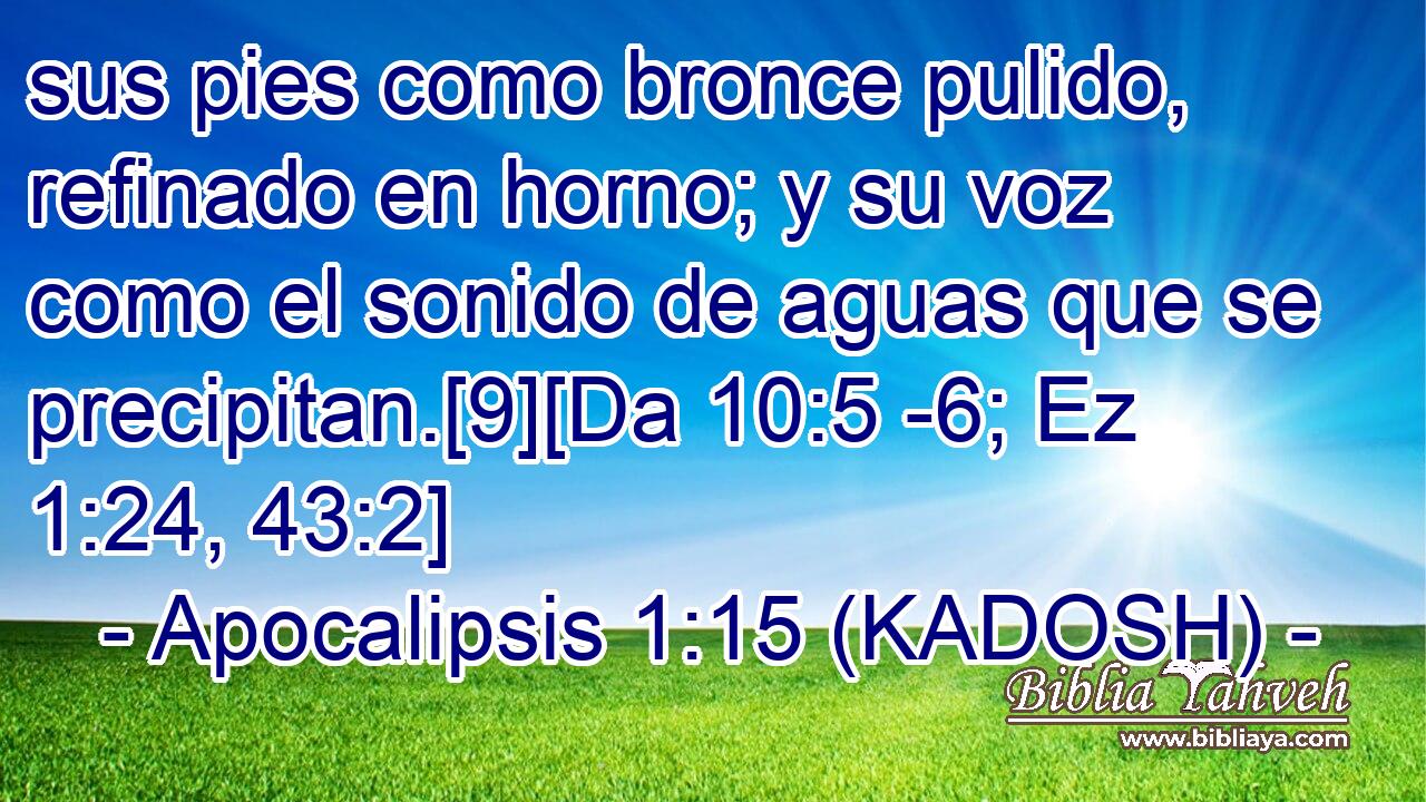  sus pies como bronce pulido, refinado en horno; y su voz como el sonido de aguas que se precipitan.[9][Da 10:5 -6; Ez 1:24, 43:2] 