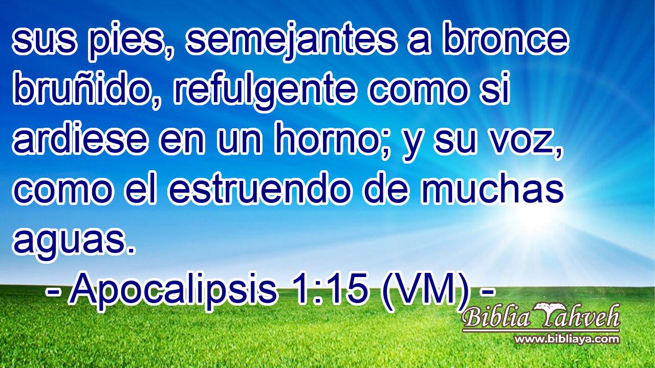  sus pies, semejantes a bronce bruñido, refulgente como si ardiese en un horno; y su voz, como el estruendo de muchas aguas. 