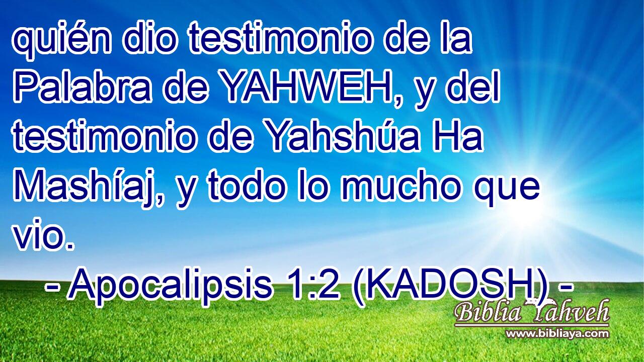  quién dio testimonio de la Palabra de YAHWEH, y del testimonio de Yahshúa Ha Mashíaj, y todo lo mucho que vio. 