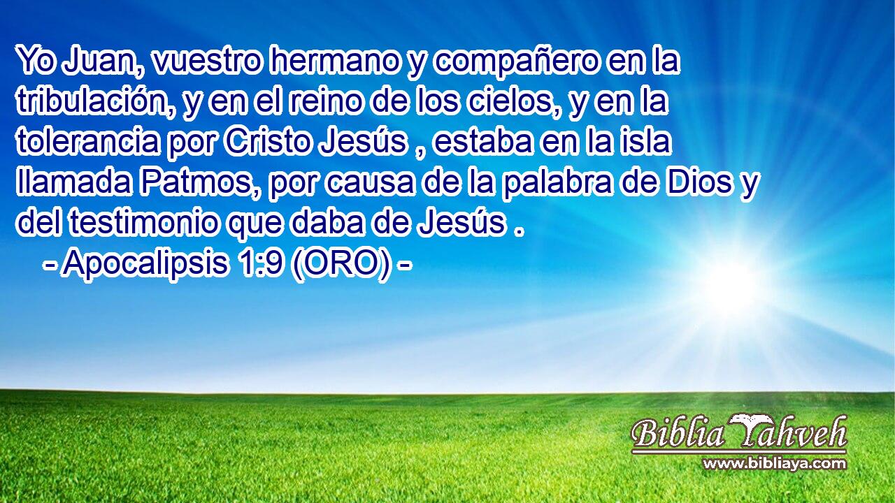  Yo Juan, vuestro hermano y compañero en la tribulación, y en el reino de los cielos, y en la tolerancia por Cristo Jesús , estaba en la isla llamada Patmos, por causa de la palabra de Dios y del testimonio que daba de Jesús . 