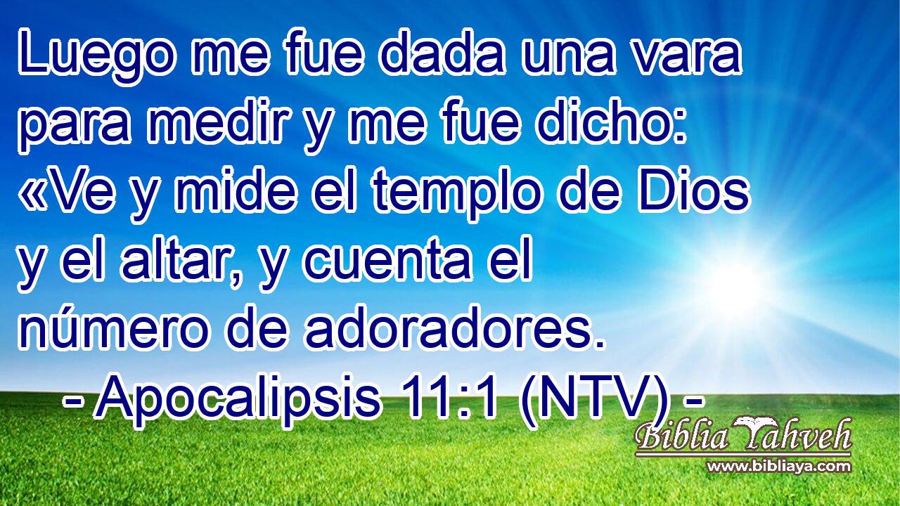 Luego me fue dada una vara para medir y me fue dicho: «Ve y mide el templo de Dios y el altar, y cuenta el número de adoradores.