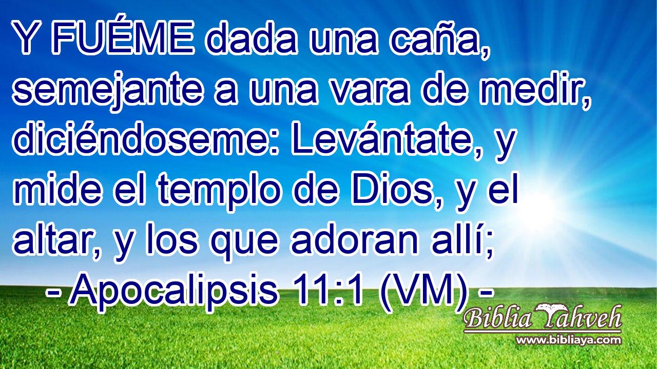  Y FUÉME dada una caña, semejante a una vara de medir, diciéndoseme: Levántate, y mide el templo de Dios, y el altar, y los que adoran allí; 