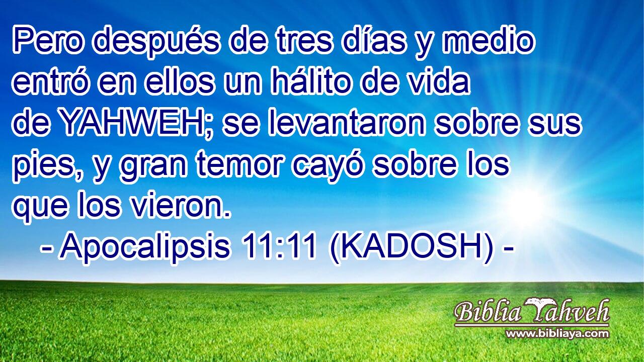  Pero después de tres días y medio entró en ellos un hálito de vida de YAHWEH; se levantaron sobre sus pies, y gran temor cayó sobre los que los vieron. 