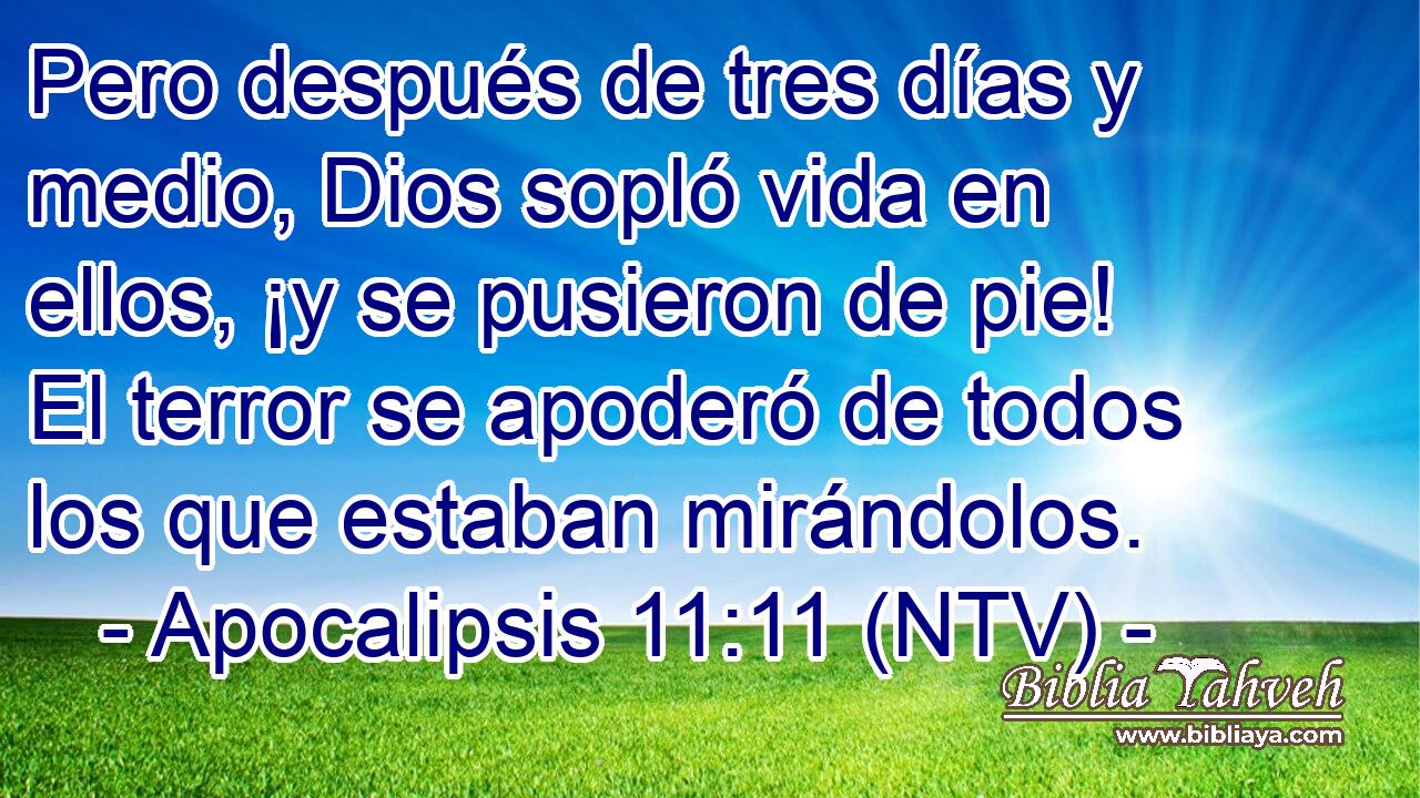 Pero después de tres días y medio, Dios sopló vida en ellos, ¡y se pusieron de pie! El terror se apoderó de todos los que estaban mirándolos.