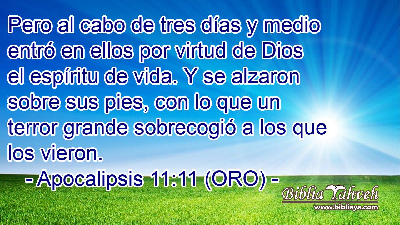  Pero al cabo de tres días y medio entró en ellos por virtud de Dios el espíritu de vida. Y se alzaron sobre sus pies, con lo que un terror grande sobrecogió a los que los vieron. 