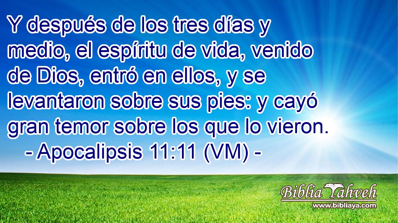 Y después de los tres días y medio, el espíritu de vida, venido de Dios, entró en ellos, y se levantaron sobre sus pies: y cayó gran temor sobre los que lo vieron. 