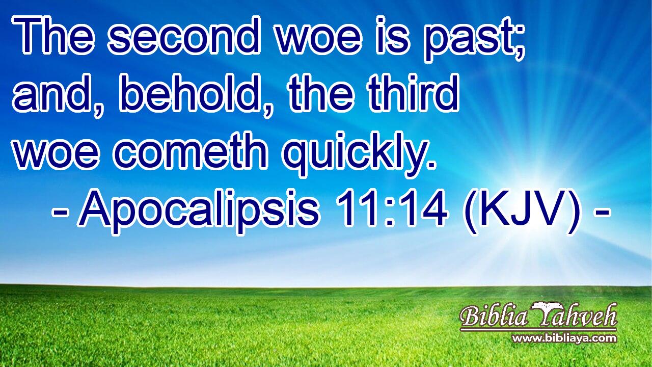 The second woe is past; and, behold, the third woe cometh quickly.