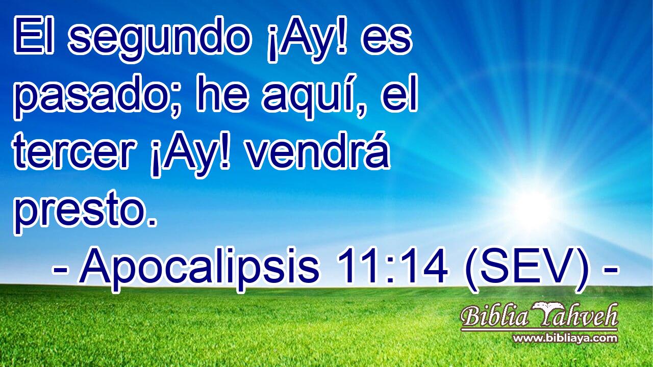 El segundo ¡Ay! es pasado; he aquí, el tercer ¡Ay! vendrá presto.