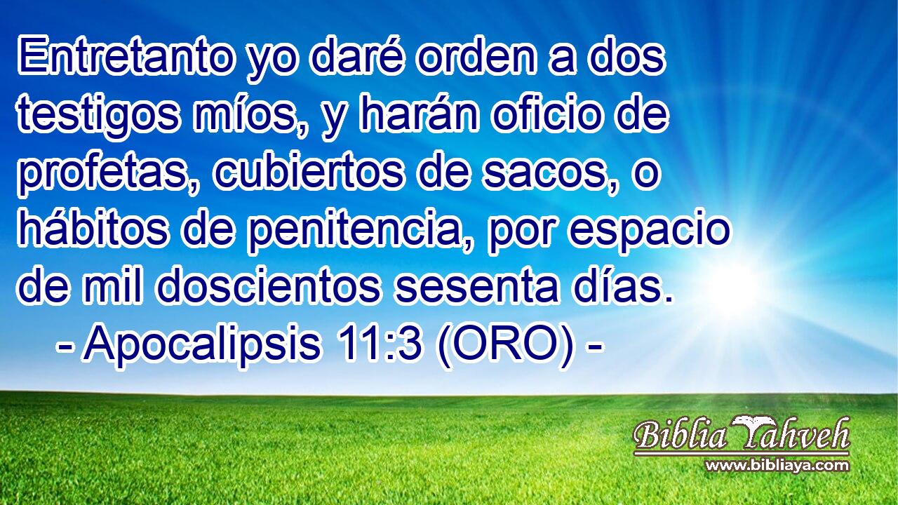  Entretanto yo daré orden a dos testigos míos, y harán oficio de profetas, cubiertos de sacos, o hábitos de penitencia, por espacio de mil doscientos sesenta días. 
