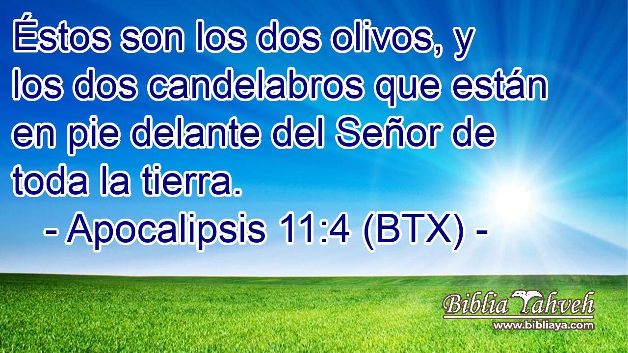 Éstos son los dos olivos, y los dos candelabros que están en pie delante del Señor de toda la tierra.