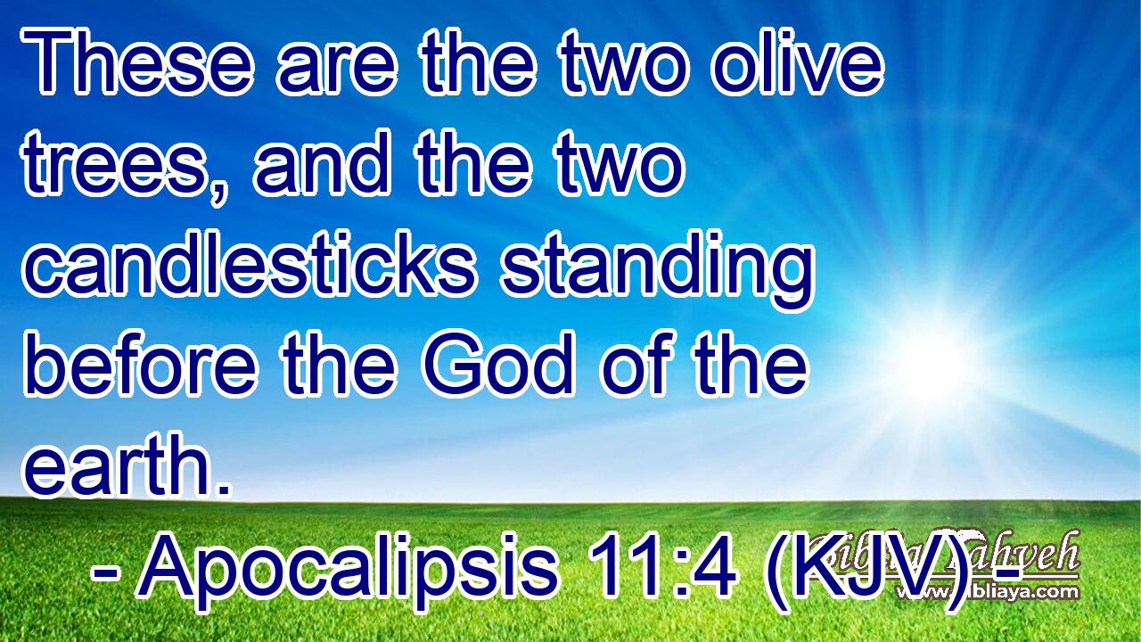 These are the two olive trees, and the two candlesticks standing before the God of the earth.