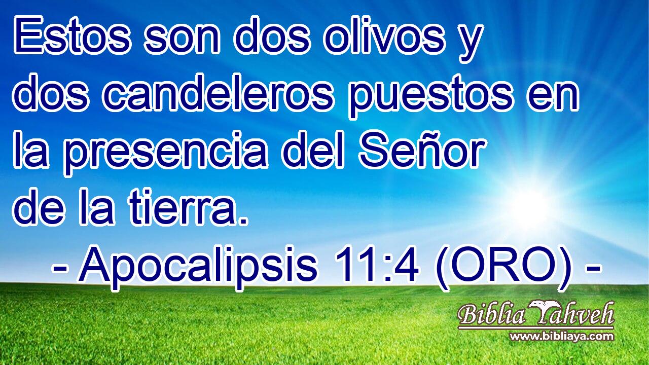  Estos son dos olivos y dos candeleros puestos en la presencia del Señor de la tierra. 