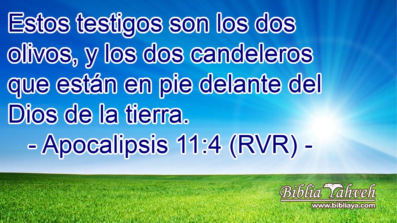 Estos testigos son los dos olivos, y los dos candeleros que están en pie delante del Dios de la tierra.