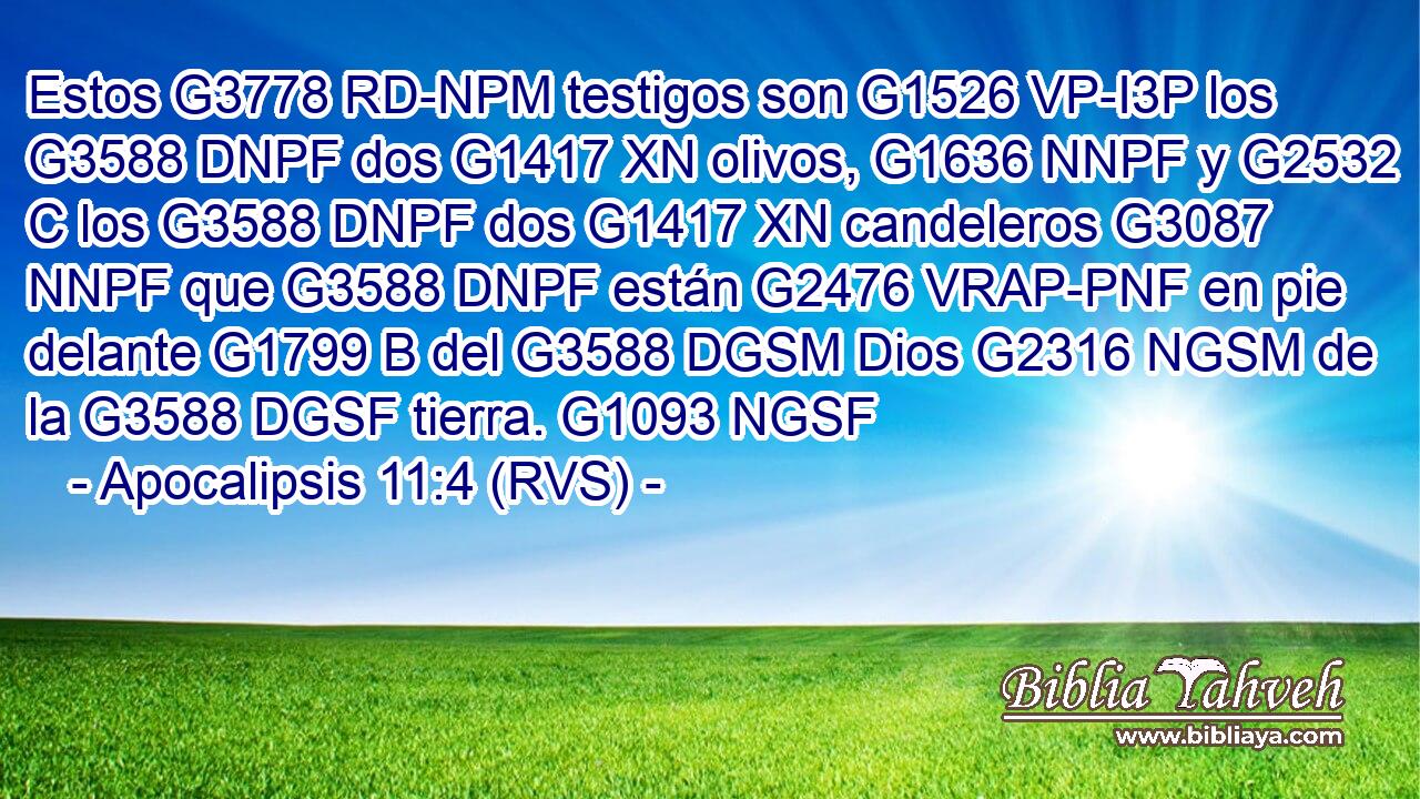 Estos G3778 RD-NPM testigos son G1526 VP-I3P los G3588 DNPF dos G1417 XN olivos, G1636 NNPF y G2532 C los G3588 DNPF dos G1417 XN candeleros G3087 NNPF que G3588 DNPF están G2476 VRAP-PNF en pie delante G1799 B del G3588 DGSM Dios G2316 NGSM de la G3588 DGSF tierra. G1093 NGSF 