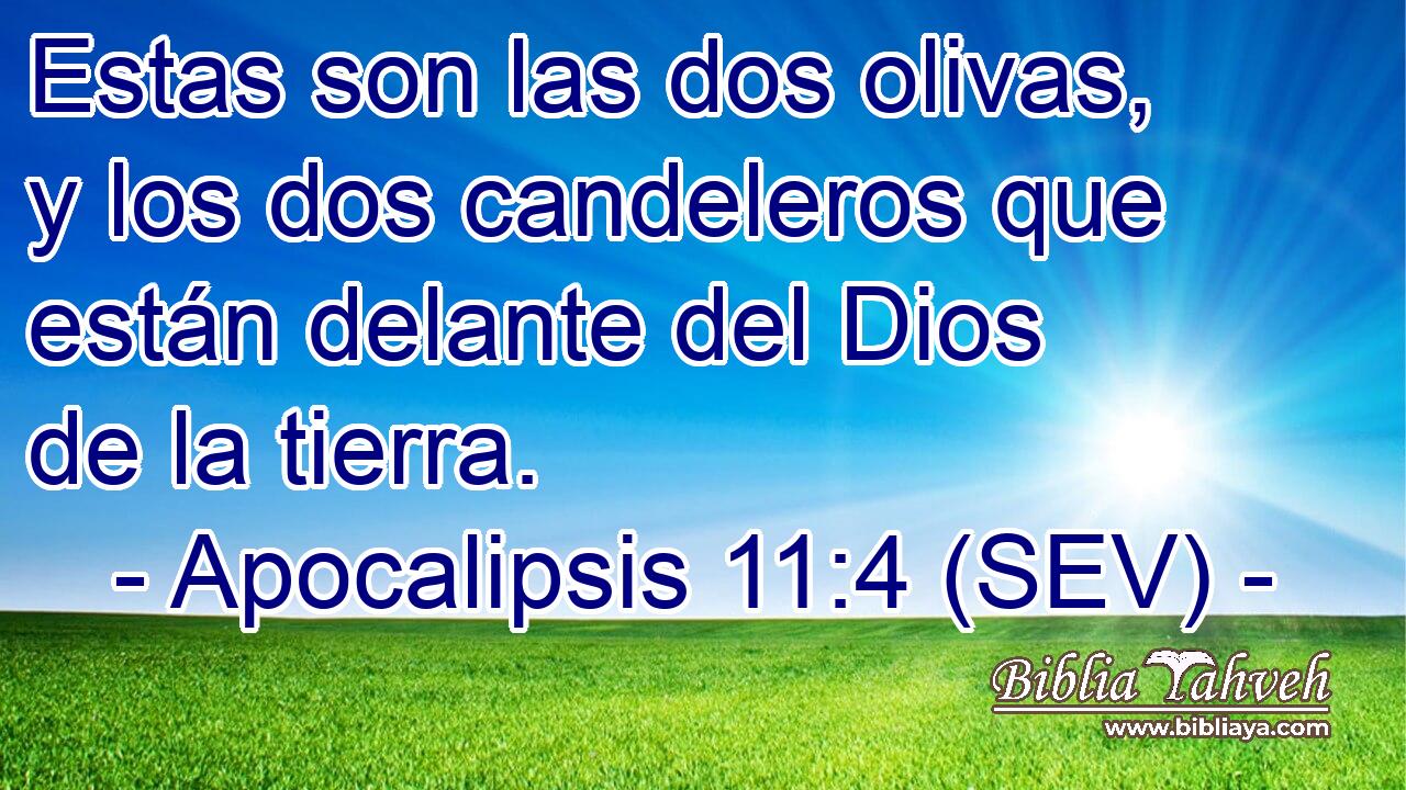 Estas son las dos olivas, y los dos candeleros que están delante del Dios de la tierra.