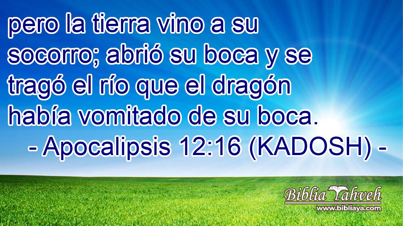  pero la tierra vino a su socorro; abrió su boca y se tragó el río que el dragón había vomitado de su boca. 