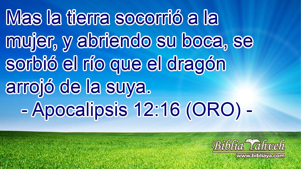  Mas la tierra socorrió a la mujer, y abriendo su boca, se sorbió el río que el dragón arrojó de la suya. 