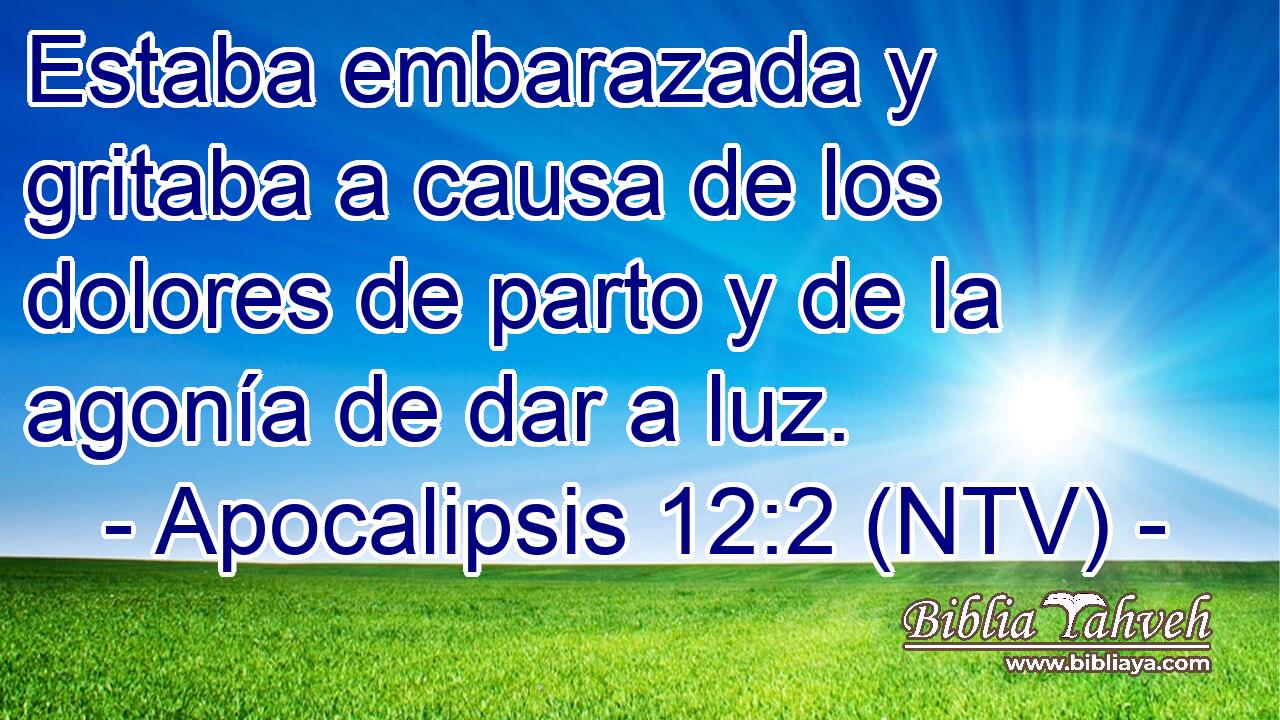 Estaba embarazada y gritaba a causa de los dolores de parto y de la agonía de dar a luz.