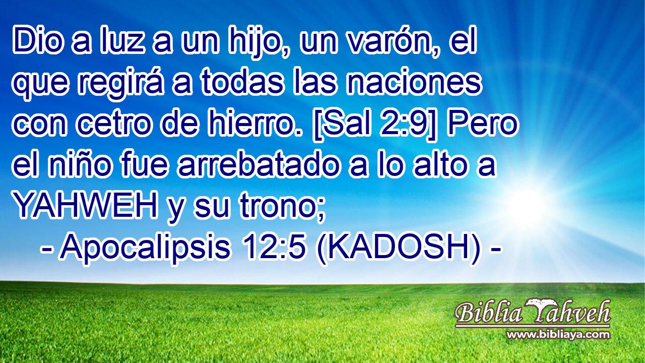  Dio a luz a un hijo, un varón, el que regirá a todas las naciones con cetro de hierro. [Sal 2:9] Pero el niño fue arrebatado a lo alto a YAHWEH y su trono; 
