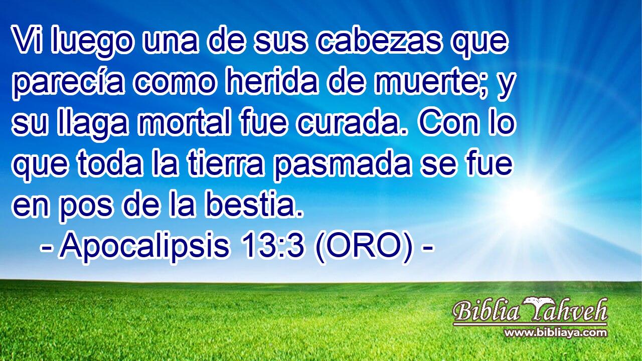  Vi luego una de sus cabezas que parecía como herida de muerte; y su llaga mortal fue curada. Con lo que toda la tierra pasmada se fue en pos de la bestia. 