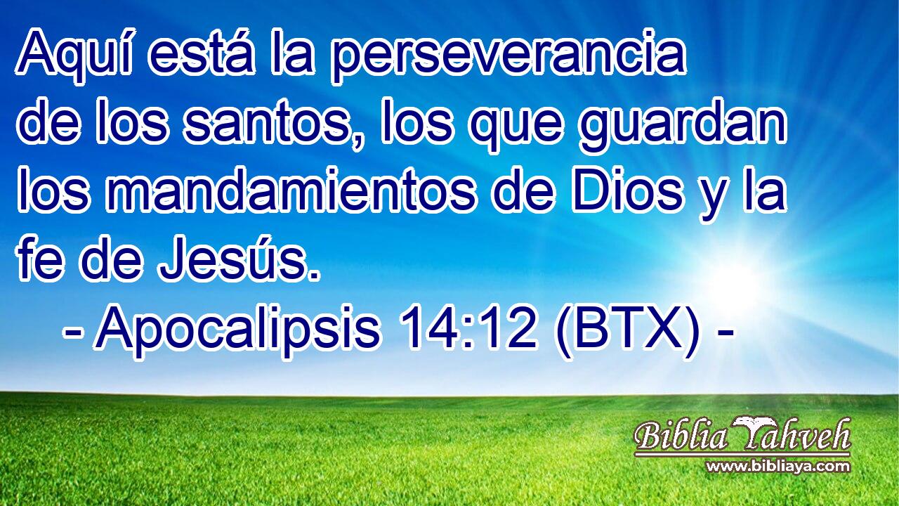 Aquí está la perseverancia de los santos, los que guardan los mandamientos de Dios y la fe de Jesús.