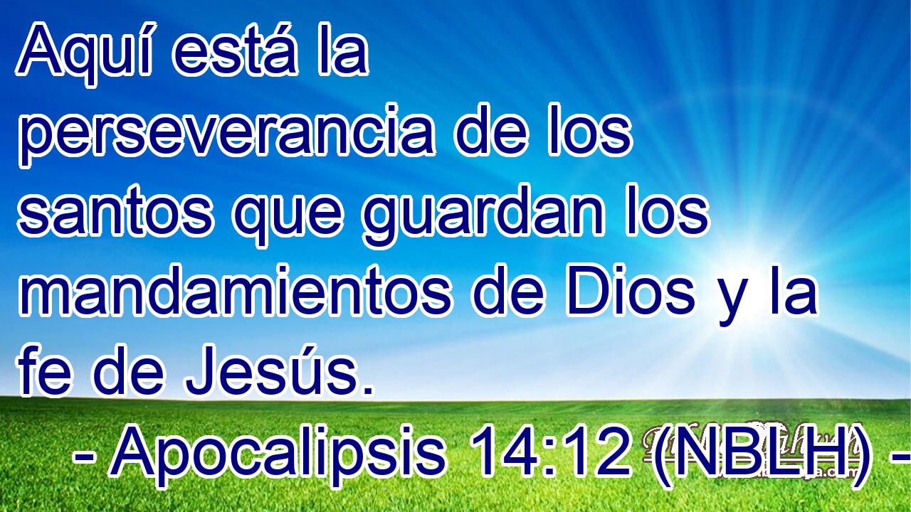  Aquí está la perseverancia de los santos que guardan los mandamientos de Dios y la fe de Jesús. 