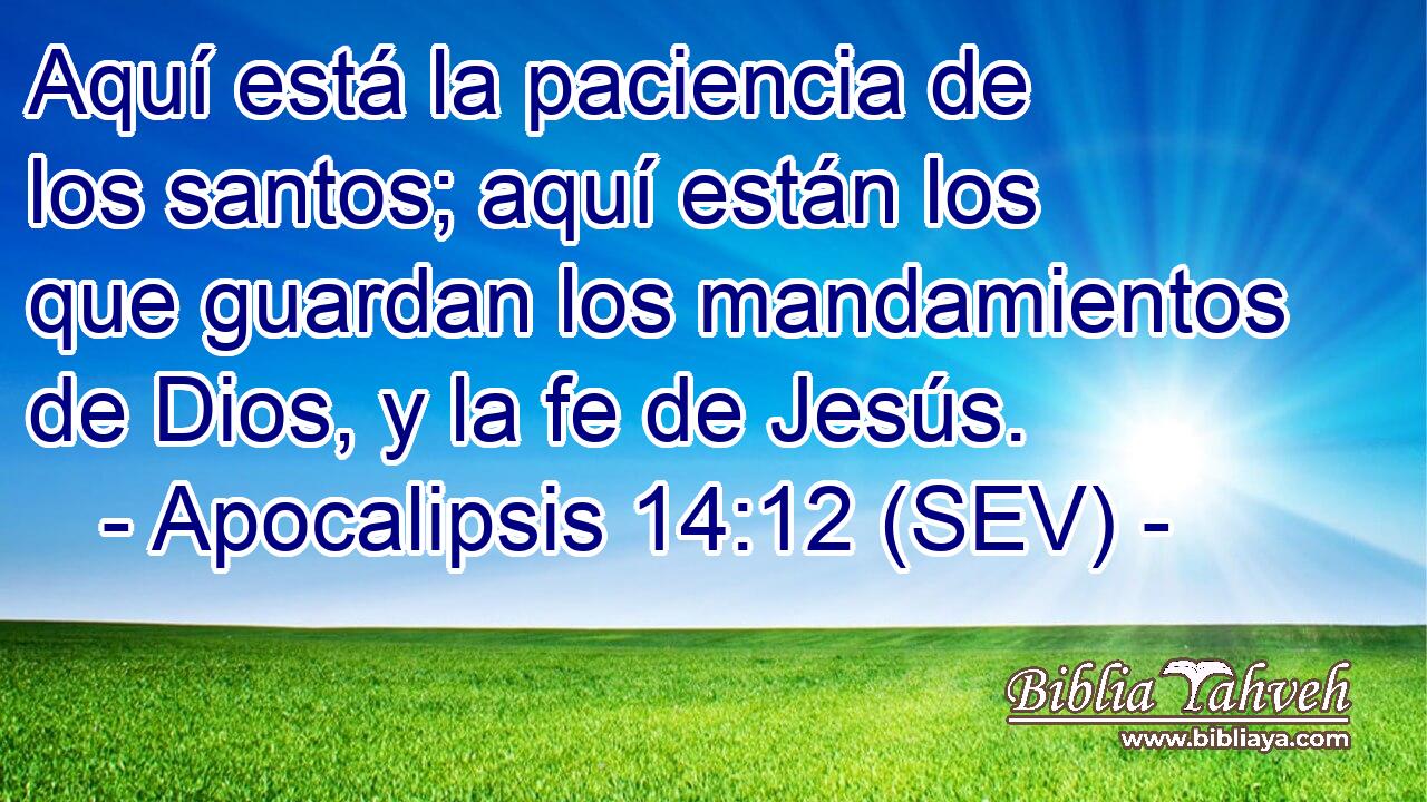 Aquí está la paciencia de los santos; aquí están los que guardan los mandamientos de Dios, y la fe de Jesús.