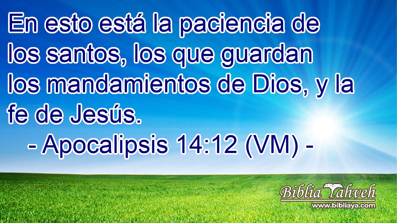  En esto está la paciencia de los santos, los que guardan los mandamientos de Dios, y la fe de Jesús. 