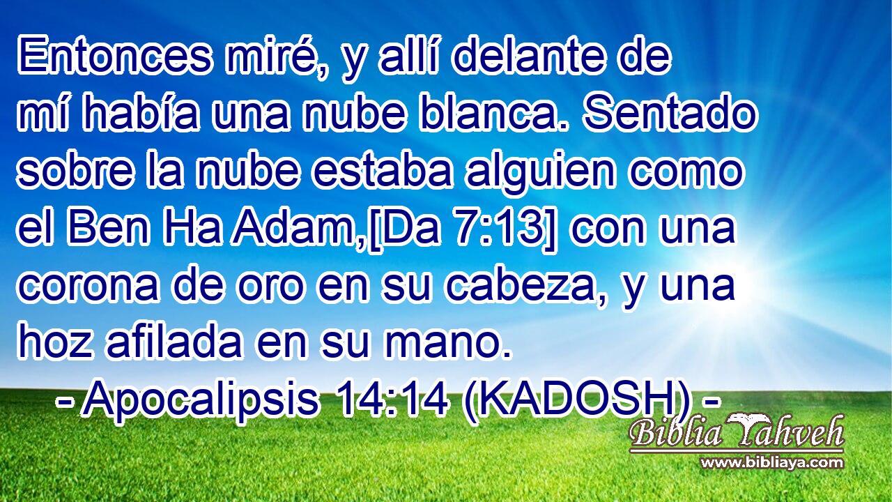  Entonces miré, y allí delante de mí había una nube blanca. Sentado sobre la nube estaba alguien como el Ben Ha Adam,[Da 7:13] con una corona de oro en su cabeza, y una hoz afilada en su mano. 
