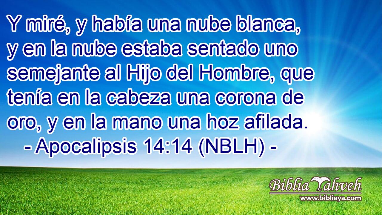  Y miré, y había una nube blanca, y en la nube estaba sentado uno semejante al Hijo del Hombre, que tenía en la cabeza una corona de oro, y en la mano una hoz afilada. 