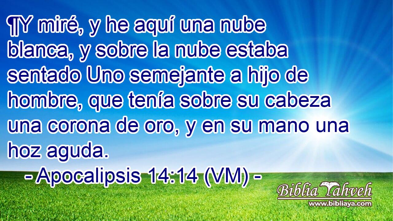  ¶Y miré, y he aquí una nube blanca, y sobre la nube estaba sentado Uno semejante a hijo de hombre, que tenía sobre su cabeza una corona de oro, y en su mano una hoz aguda. 