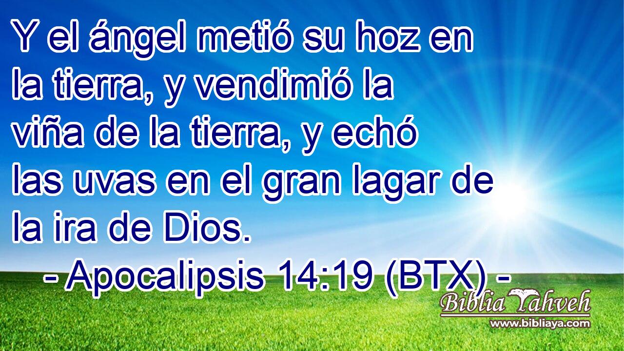 Y el ángel metió su hoz en la tierra, y vendimió la viña de la tierra, y echó las uvas en el gran lagar de la ira de Dios.