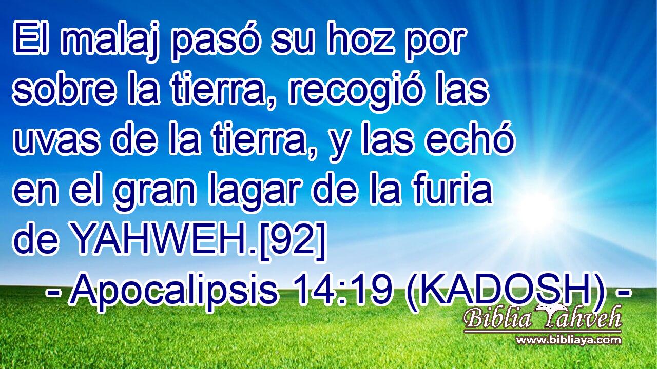  El malaj pasó su hoz por sobre la tierra, recogió las uvas de la tierra, y las echó en el gran lagar de la furia de YAHWEH.[92] 